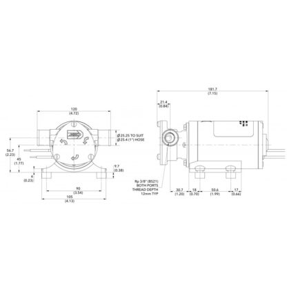 JABSCO Pompe, Autoclavi Jabsco, Flojet JUNIOR PUPPY 12V - immagine 2