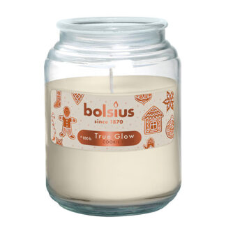 CANDELA GIARA SPEZIE INVERN.  mm 100 h 135 BOLSIUS 101925580399 CANDELE                      C BOLSIUS