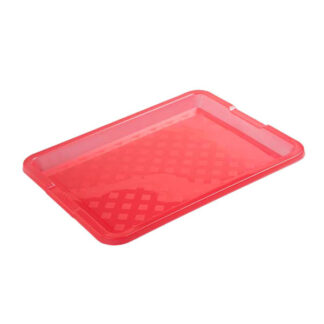 VASSOIO                        cm 35x26 FROSTY DEM 74001 VASSOI PLASTICA              C DEM