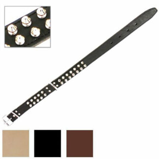 COLLARE CANI CUOIO BORCHIE DOPPIE mm 30 cm 60 40-30 COLLARI CANI                 F EUROCUOIO