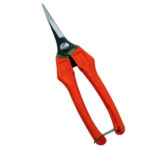 FORBICE COGLIUVA 190 PUNTA PROFI     31331 AUSONIA 031331 FORBICI UVA                  F AUSONIA