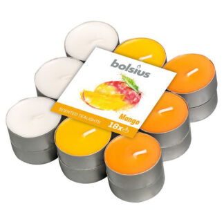 CANDELA TEALIGHT FRUTTI ROSSI       Pz  18 BOLSIUS 101826943489 CANDELE                      C BOLSIUS