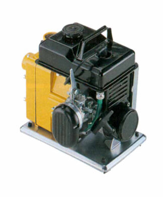 MOTOPOMPA AUTOADESCANTE AUT250/N PLUS           CM 000025020ALP MOTOPOMPE                    F CM