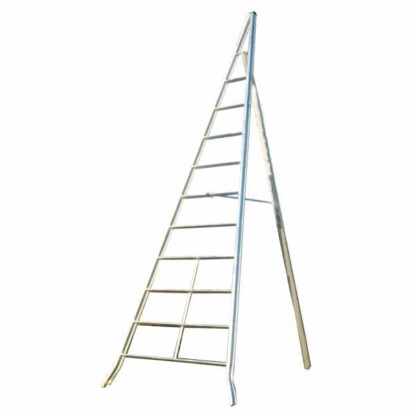 SCALA ALLUMINIO AGRICOLTURA m 2,5            FACAL AG250 SCALE AGRICOLTURA            F FACAL