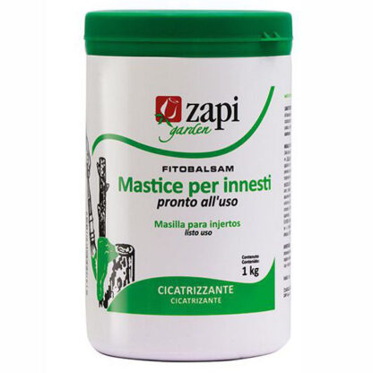 MASTICE INNESTI g  200                        ZAPI 312550 MASTICE INNESTI              F ZAPI
