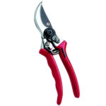 SVETTATOIO CLASSIC                   31065 AUSONIA 031065 SVETTATOI                    F AUSONIA