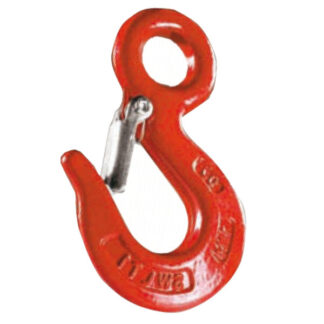 GANCIO PORTATA CARBONIO CON SICURA kg 1000 A204S1 GANCI PORTATA                F CARCANO
