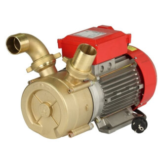 ELETTROPOMPA TRAVASO mm 50                   ROVER 270000 ELETTROPOMPE                 F ROVER