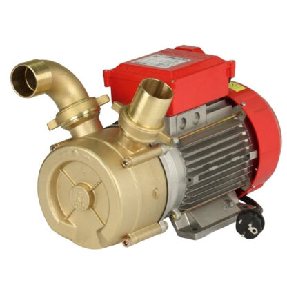 ELETTROPOMPA TRAVASO mm 50                   ROVER 270000 ELETTROPOMPE                 F ROVER
