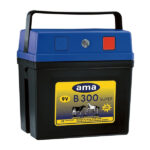 ELETTRIFICATORE RANCH B300 SUPER 36002 ELETTRIFICATORI              F AMA