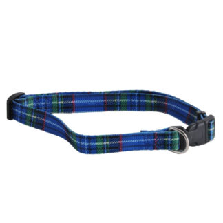 COLLARE CANI NYLON mm 10 cm 30       ILCAMPO 07647 SH492 COLLARI CANI                 F IL CAMPO