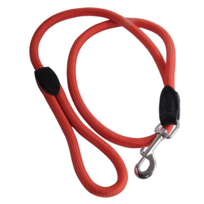 GUINZAGLIO CANI NYLON T mm 13 cm 110 ILCAMPO 07640 SH4720 GUINZAGLI                    F IL CAMPO