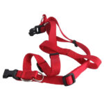 PETTORALE CANI NYLON mm 20 cm 40/70  ILCAMPO 07645 SH179 GUINZAGLI                    F IL CAMPO