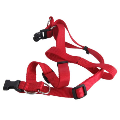 PETTORALE CANI NYLON mm 25 cm 50/80  ILCAMPO 07646 SH180 GUINZAGLI                    F IL CAMPO