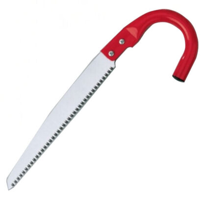 SEGACCIO DIRITTO M/CO C 300          34070 AUSONIA 034070 SEGACCI                      F AUSONIA