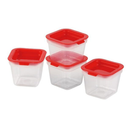 CONTENITORE QUAD SUGHI/AROMI cc 170   Pz 4 TESCOMA 891872 CONTENITORI PLASTICA         C TESCOMA