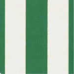 TENDA SOLE POLIESTERE PLUS RIGA VERDE   145x350 RP TS21035 TENDE SOLE                   C ROBERT PLAST