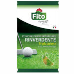 CONCIME GRANULARE PRATO RINVERDENTE      kg 5 FITO X212101 CONCIMI                      F FITO