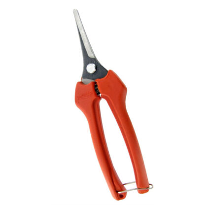 FORBICE COGLIUVA 190 PUNTA           P128-19 BAHCO P128-19-BULK30 FORBICI UVA                  F BAHCO