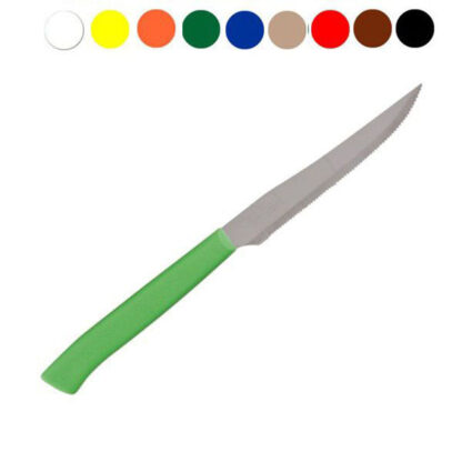 COLTELLO BISTECCA VERDE        Pz 6 cm 11 MARIETTI 43TF-B06V POSATE MARIETTI              C MARIETTI