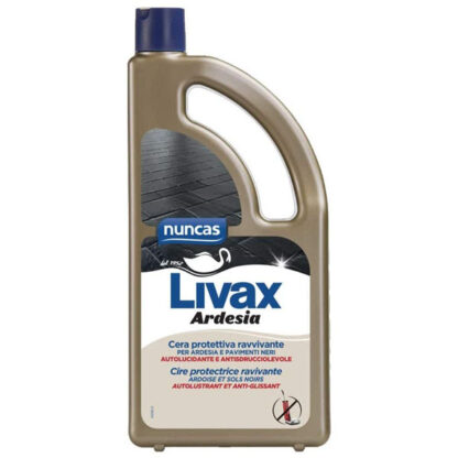 CERA ARDESIA                         l 1,00 NUNCAS F18 4000591 NUNCAS                       C NUNCAS