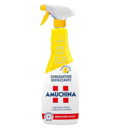 DETERGENTE SGRASSANTE SPRAY LIMONE    750 AMUCHINA A419712 AMUCHINA                     C AMUCHINA