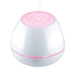 DIFFUSORE OLIO ROSE     cm 12 h 11,5 FANCY TESCOMA 906910 DIFFUSORI E OLII             C TESCOMA