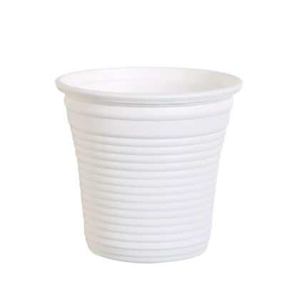 BICCHIERE BIANCO         cc  80 Pz 50 NATURAL BIBO 5539950 MONOUSO PLASTICA             C NATURAL BIBO