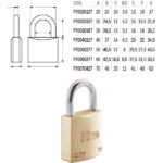 LUCCHETTO OTTONE mm 60 KA                CITY ISEO P70060377.K1 ISEO LUCCHETTI               S ISEO