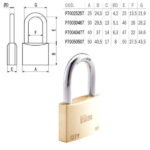 LUCCHETTO OTTONE mm 40 ARCO MEDIO        CITY ISEO P70040477 ISEO LUCCHETTI               S ISEO