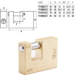 LUCCHETTO OTTONE mm 60 SERRANDE KA       CITY ISEO P74060187.K1 ISEO LUCCHETTI               S ISEO