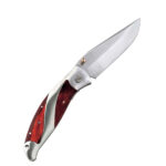 COLTELLO TASCA INOX MANICO INX/LEGNO cm 20 AUSONIA 026473 COLTELLI CAMPEGGIO           C AUSONIA