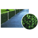 SIEPE EDERA h 150 m  3                  TREX 03474 MZ8009 1,5X3M SIEPI                        F TREX