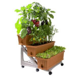 VASO ORTO DI BAMA COCCIO SET    cm 80x74 h 73 BAMA 32000 VASI PLASTICA                F BAMA