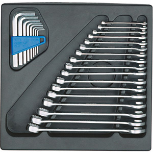 MODULI CON UTENSILI PER CARRELLI A TORRE Larghezza per profondità modulo mm 310x315.<br>Contenuto 25 pezzi escluso modulo:<br>1 sr. 877 G 17 (17 pz)<br>1 sr. 914 GH (8 pz) moduls with tools for tower-trolleys 1000G 1