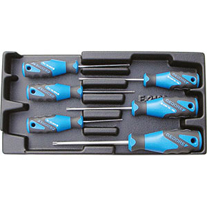 MODULI CON UTENSILI PER CARRELLI A TORRE Larghezza per profondità modulo mm 157,5x310.<br>Contenuto 6 pezzi escluso modulo:<br>1 pz. cadauno Art.982 SM T8-T10-T15-T20-T25-T30. moduls with tools for tower-trolleys 1000G 16E