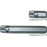 INSERTI CON ATTACCO ESAGONALE MM 10 PER AVVITATORI Tipo con impronta XZN. blades for electric drills 2006GC