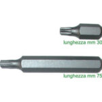INSERTI CON ATTACCO ESAGONALE MM 10 PER AVVITATORI Tipo a impronta "TORX" con foro. blades for electric drills 2006GF