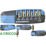 BITS ATTACCO 1/4" RATCHDRIVE IN ASSORTIMENTO Contenuto:<br>1 impugnatura a cricco<br>3 bits TIN a croce Phillips Art. 1991GBEx1-2-3<br>3 bits TIN a croce Pozidriv Art. 1991GCEx1-2-3<br>1 attacco magnetico universale con ghiera<br>L'assortimento completo. screwdrivers bits sets 2015GL