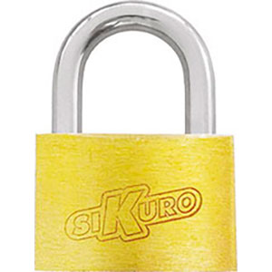 LUCCHETTI Arco normale. padlocks 2090P