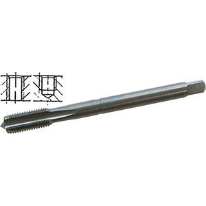 MASCHI PER USO A MACCHINA AD ALTA EFFICIENZA Gambo passante, imbocco corto per fori passanti e ciechi. Filettatura: Americana - Passo UNF - ANSI-B1.1 (DIN 374). Tolleranza 2B. Uso destro.  Con superficie NITRURATA. Per tutti i tipi di ghisa e sue leghe, metalli non ferrosi a truciolo corto e leghe di alluminio con silicio (>6%). high performance machine taps 9081T 3/4