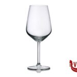 calici vino ALLEGRA-DISPLAY  CALICE VINO ROSSO CL 49 440065MI PASABAHCE