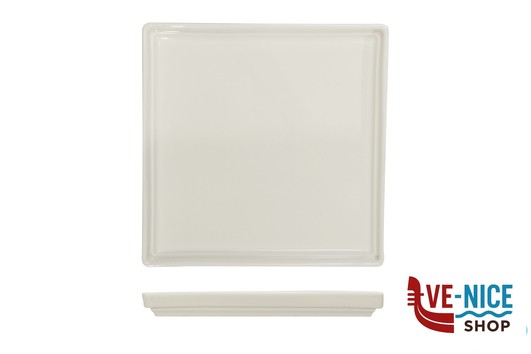 porcellana B.B. WHITE-PIATTO QUADRO CM.21,5X21,5X2,3 BA2671 IMPORT TAVOLA PROFESSIONAL