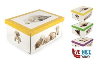 0 BAULETTO SCATOLA INDUMEN.D.R ORDINET 30020- CM 51X37X24H MISS SPACE