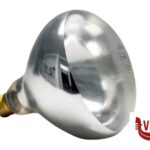 tavola BULBO LAMPADA SCALDAVIVANDE AD INFRAROSSI - PRESA E 27, LUCE CALDA - 250 W APS  ASSHEUER POTT GMBH E CO KG