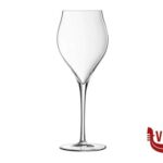 vetro EXALTATION - CALICE FLUT CL 30 ARC INTERNATIONAL FRANCE