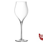 vetro EXALTATION - CALICE FLUT CL 35   Q0818 ARC INTERNATIONAL FRANCE