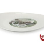 vetro/opale FRIENDS TIME -PIATTO BISTECCA OVALE 30X26 ARC INTERNATIONAL FRANCE