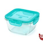 conservazione FRIGOVERRE EVOLUTION-SCATOLA QUADRA CM.14X14  3.89113 BORMIOLI ROCCO