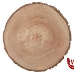 legno HORECAPROFESSIONAL-TAGLIERE CORTECCIA TONDO CM.28-32 ESSENDO UN PRODOTTO NATURALE EVENTUALI SCOSTAMENTI SONO DA CONSIDERARSI TOLLERATI PANETTA CASALINGHI DI PANETTA ANTONIO